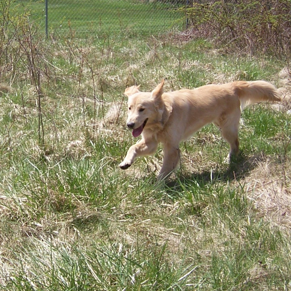 WELCOME - Picture 1 of 3